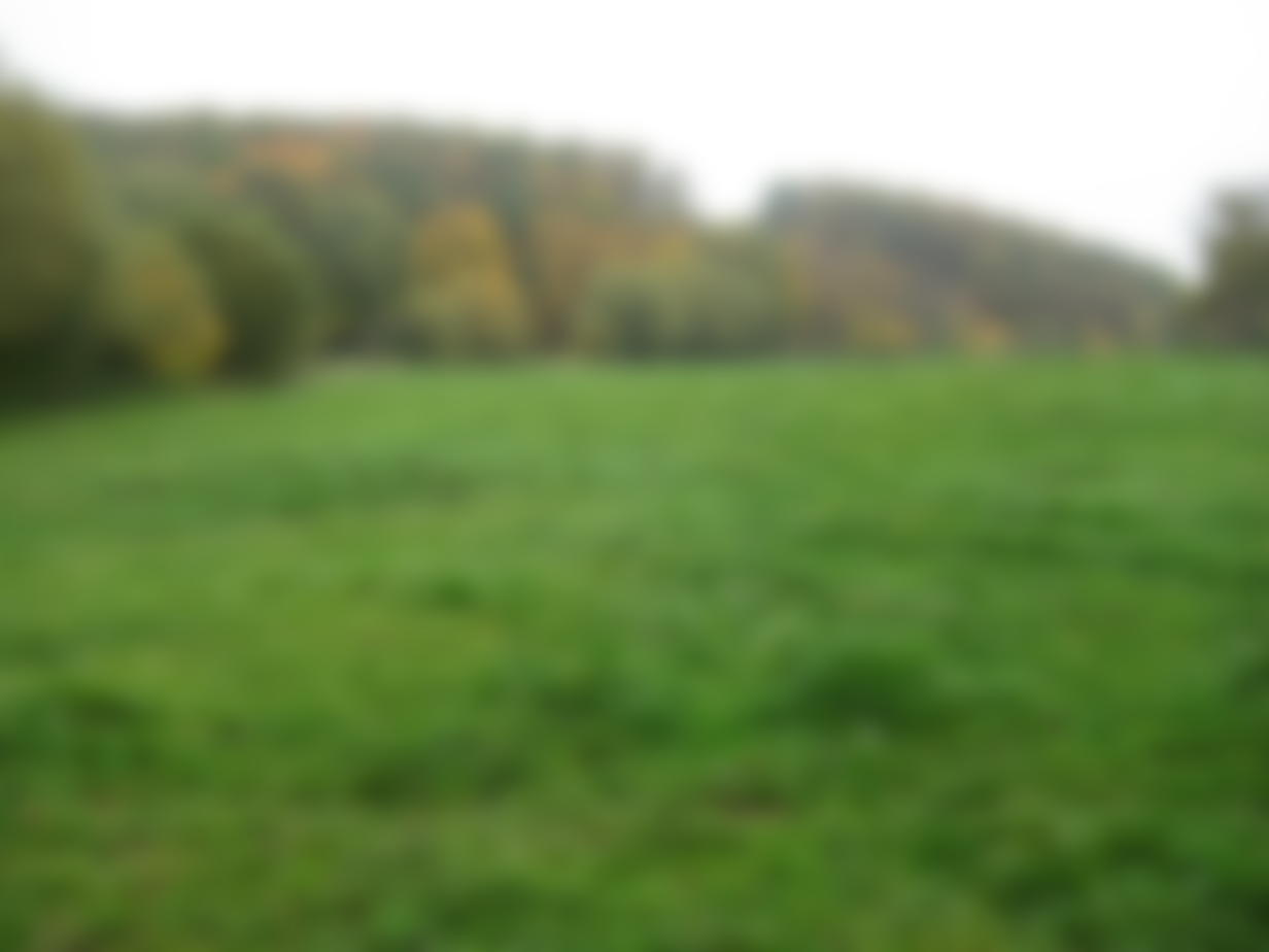 Hintergrundbild einer Weidelandschaft